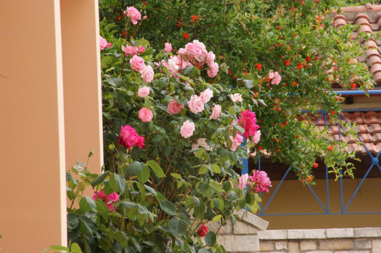 Barbati View Luxury Apartments Exterior foto